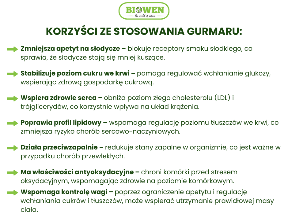 Korzyści ze stosowania gurmaru - infografika