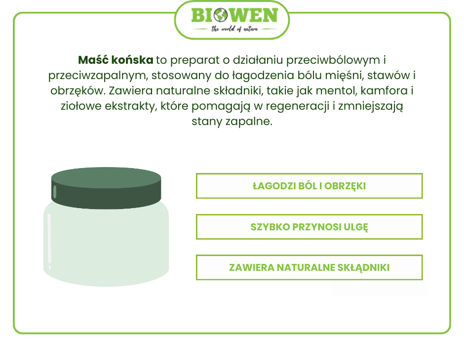 Maść końska - infografika