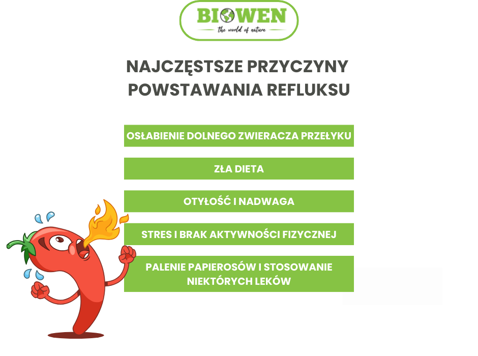 Najczęstsze przyczyny powstawania refluksu - infografika