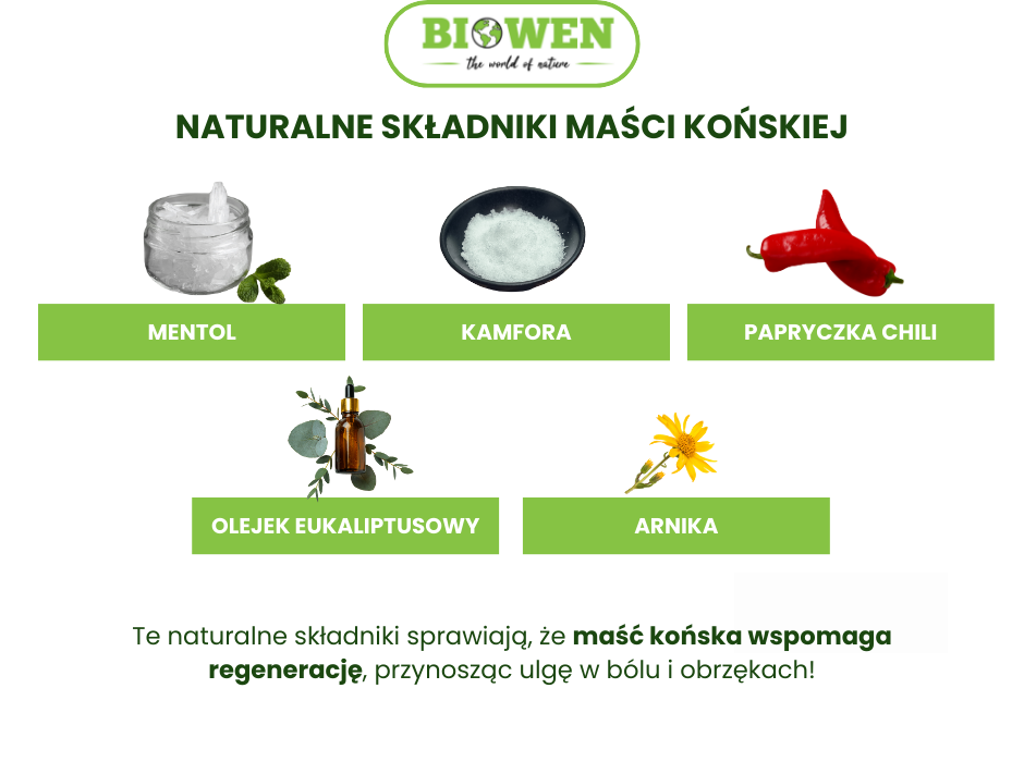 Naturalne składniki maści końskiej - infografika