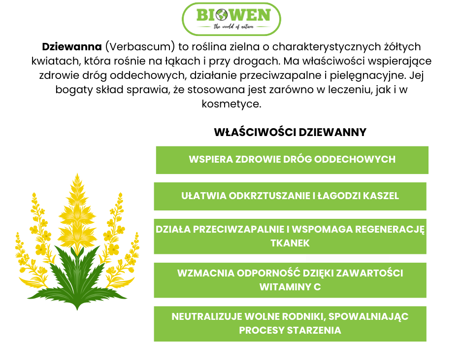 Dziewanna właściwości - infografika