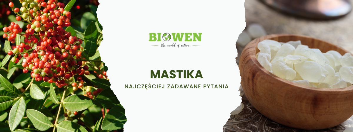 Mastika FAQ - obrazek poglądowy