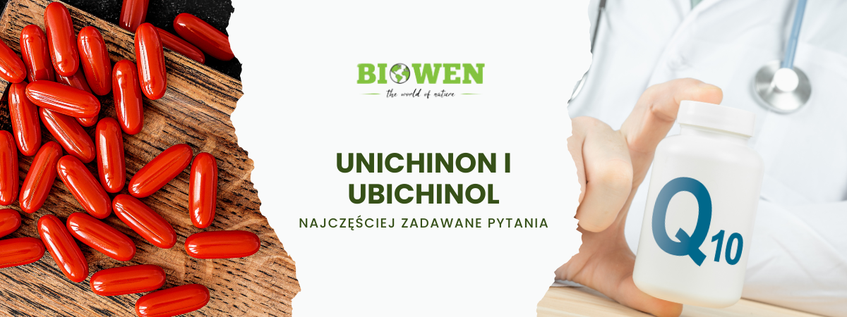 Ubichinon i ubichinol FAQ - obrazek poglądowy