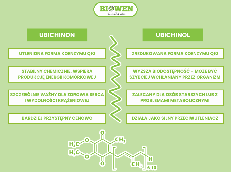 Ubichinon i ubichinol - infografika