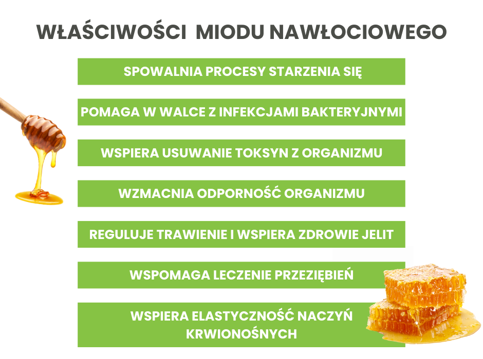 Właściwości miodu nawłociowego - infografika