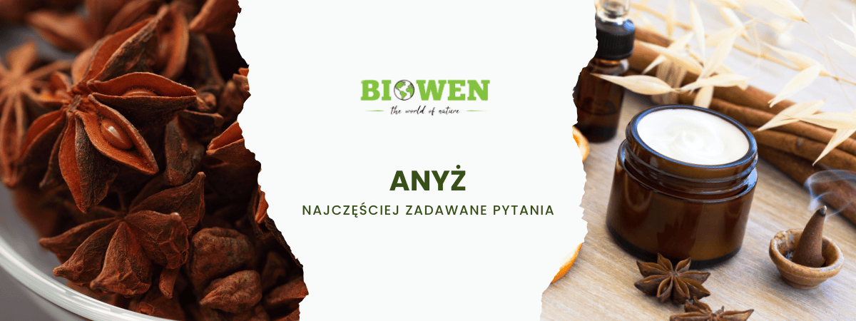 Anyż FAQ - obrazek poglądowy