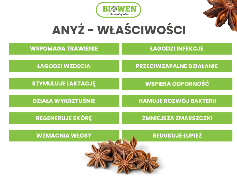 Anyż właściwości - infografika