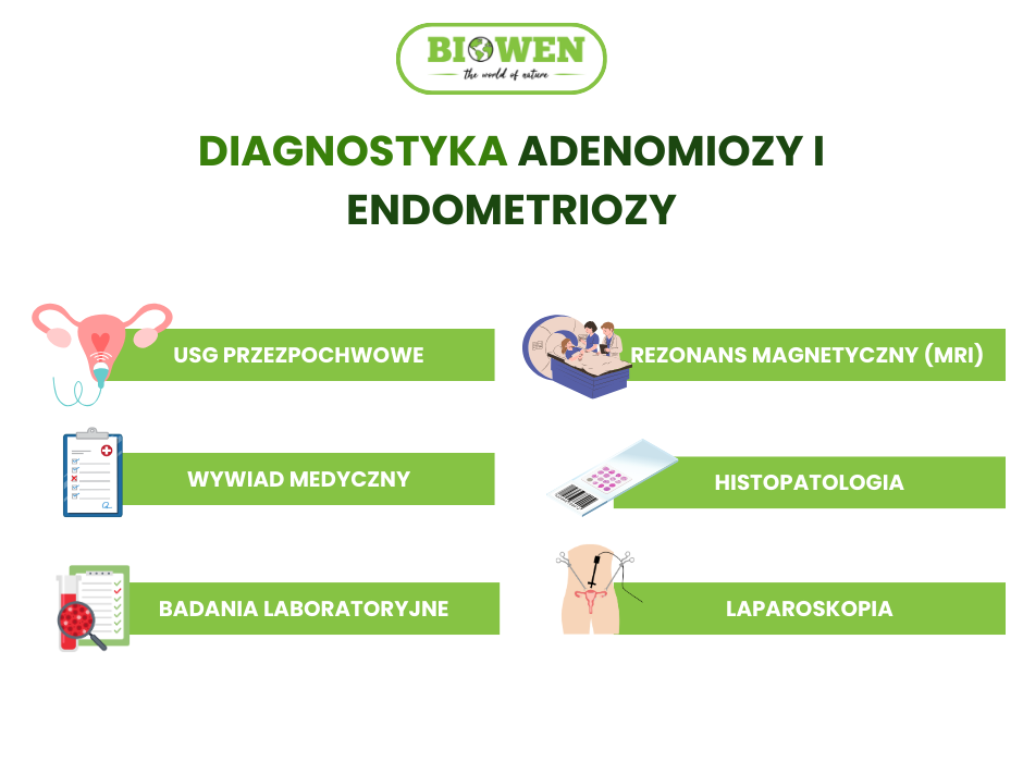 Diagnostyka adenomiozy - infografika