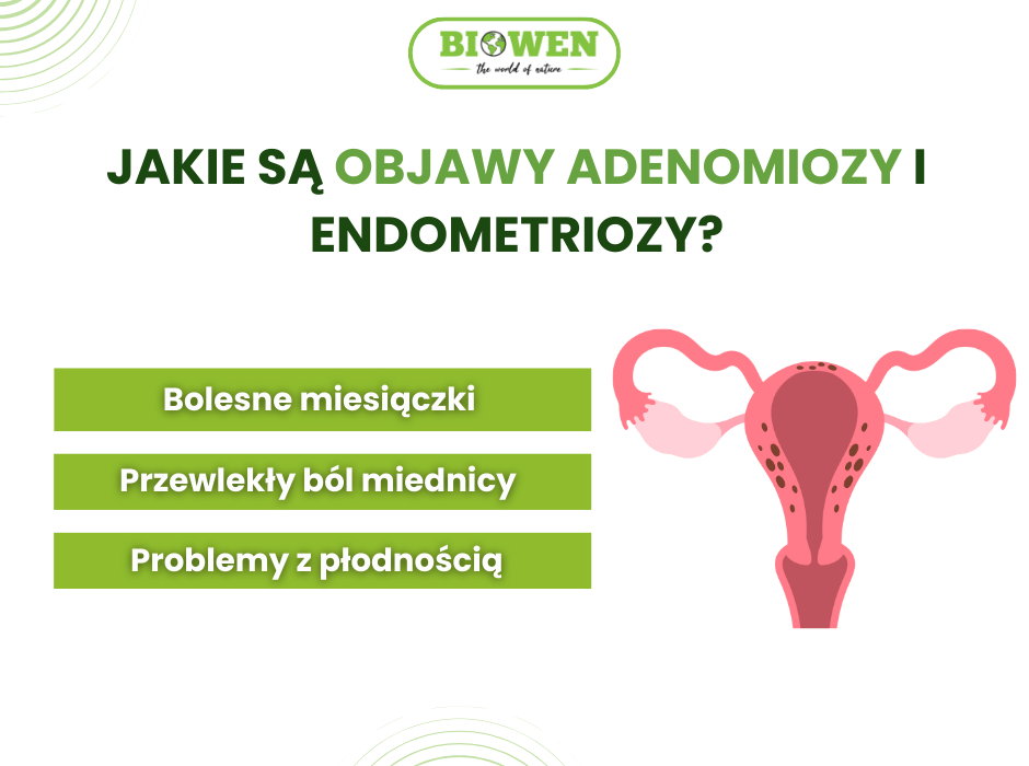 Objawy adenomiozy - infografika