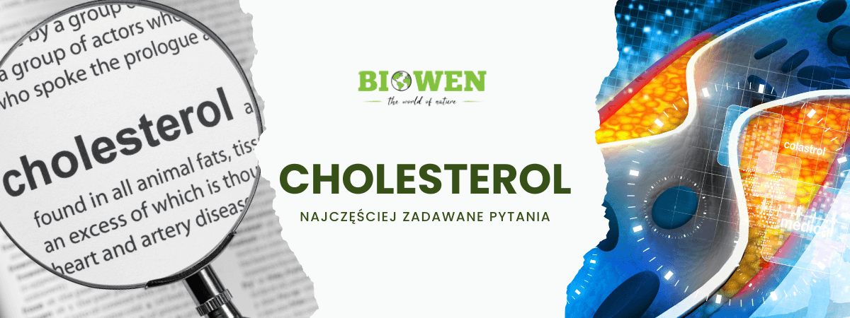 Cholesterol FAQ - obrazek poglądowy