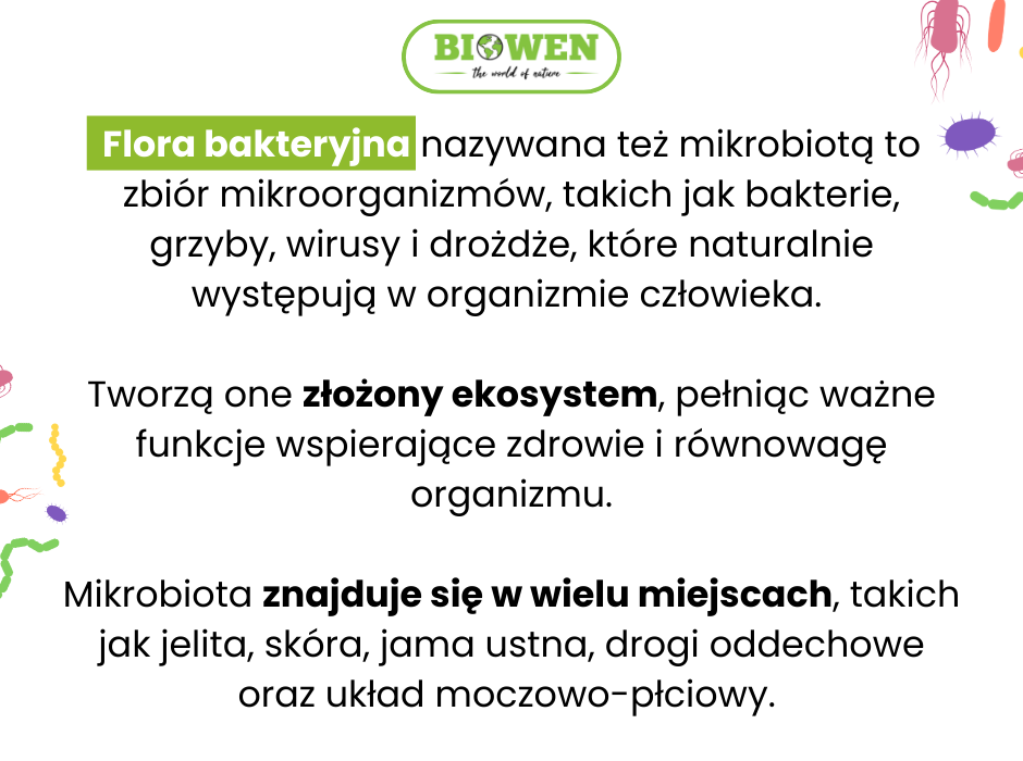 Co to jest flora bakteryjna - infografika