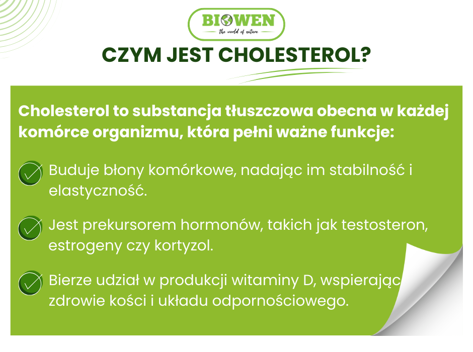 Czym jest cholesterol - infografika