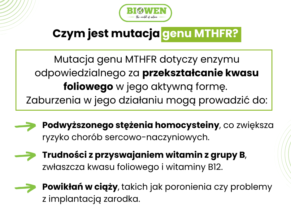 Czym jest mutacja MTHFR - infografika