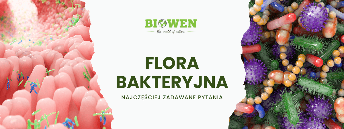 Flora bakteryjna FAQ - obrazek poglądowy