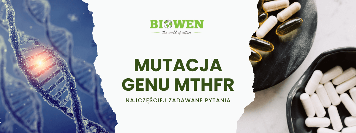 Mutacja genu MTHFR FAQ - obrazek poglądowy