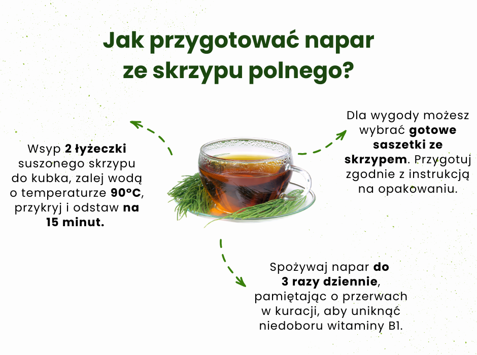 Napar ze skrzypu polnego - infografika