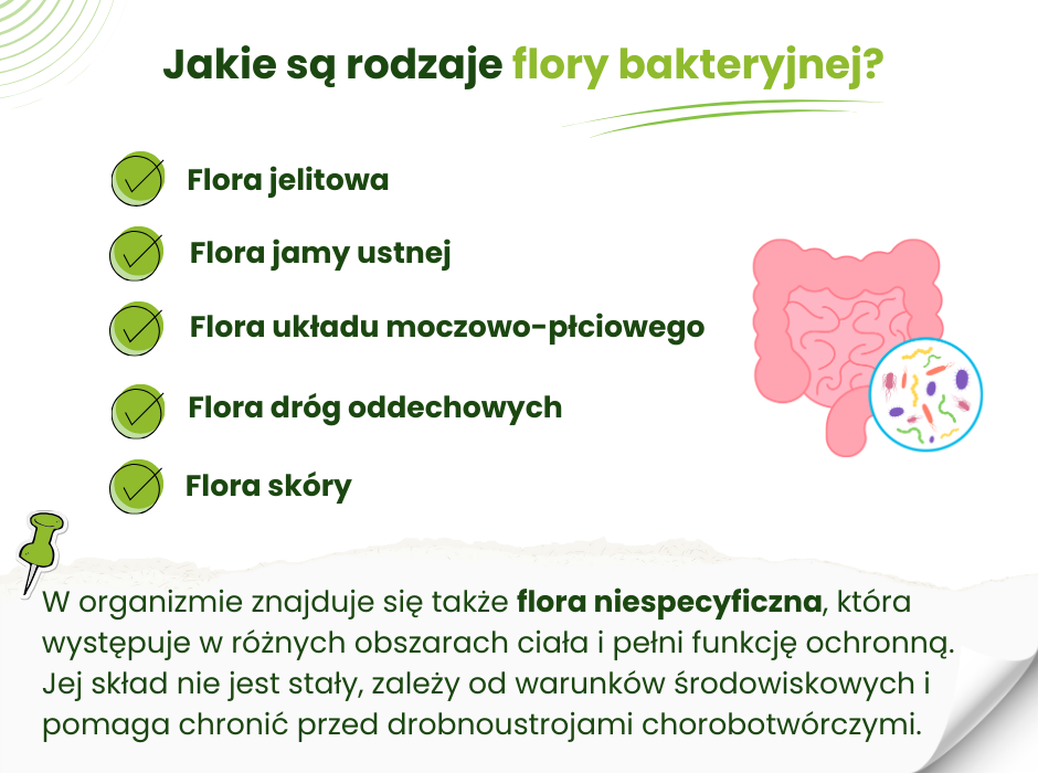 Rodzaje flory bakteryjnej - infografika