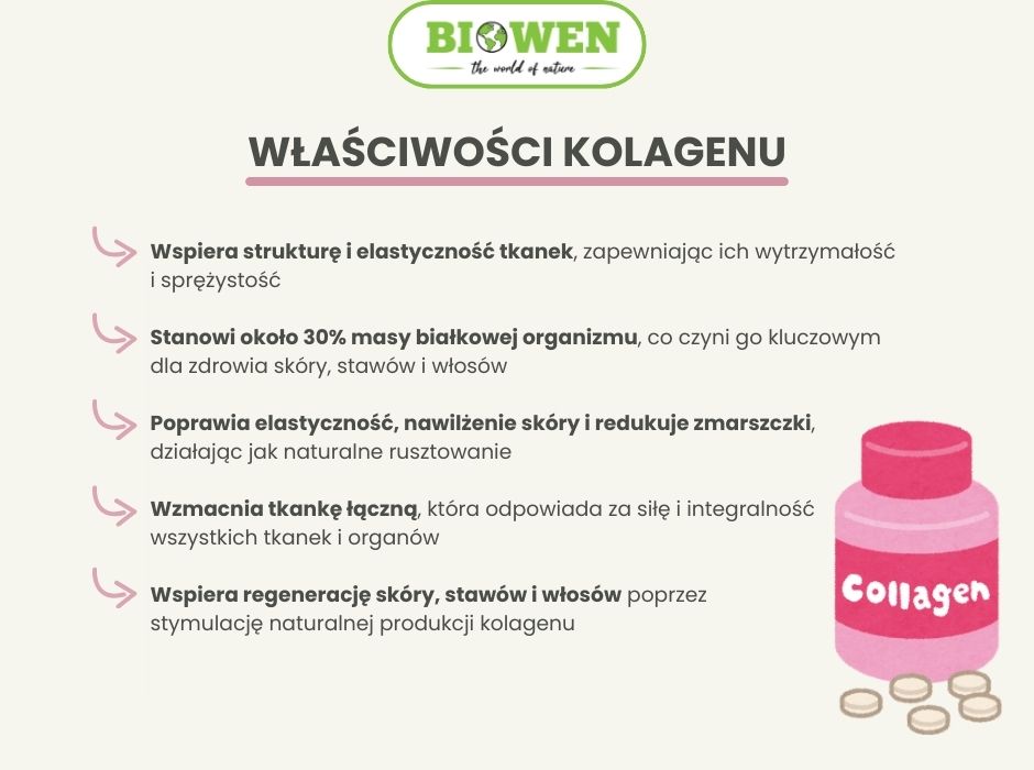 Właściwości kolagenu - infografika