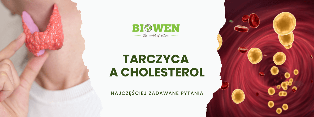 Tarczyca a cholesterol FAQ - obrazek poglądowy