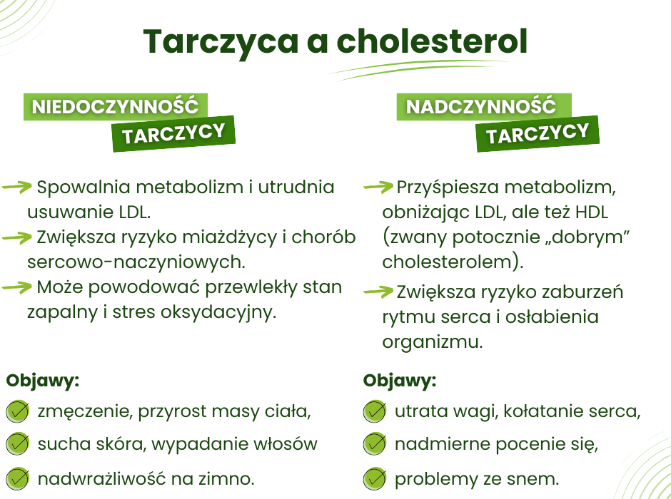 Tarczyca i cholesterol - infografika