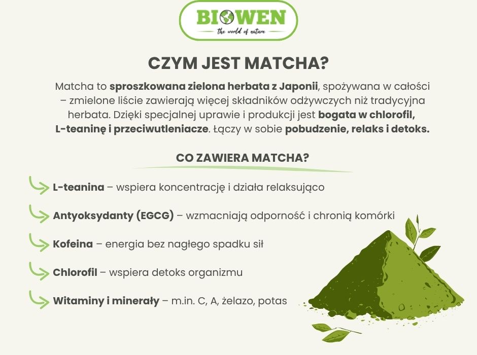 Czym jest matcha - infografika