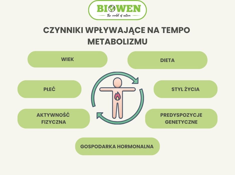 Czynniki wpływające na tempo metabolizmu - infografika