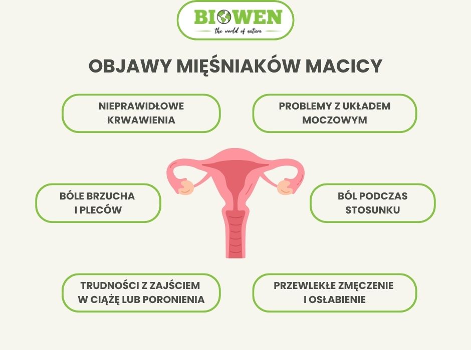 Objawy mięśniaków macicy - infografika