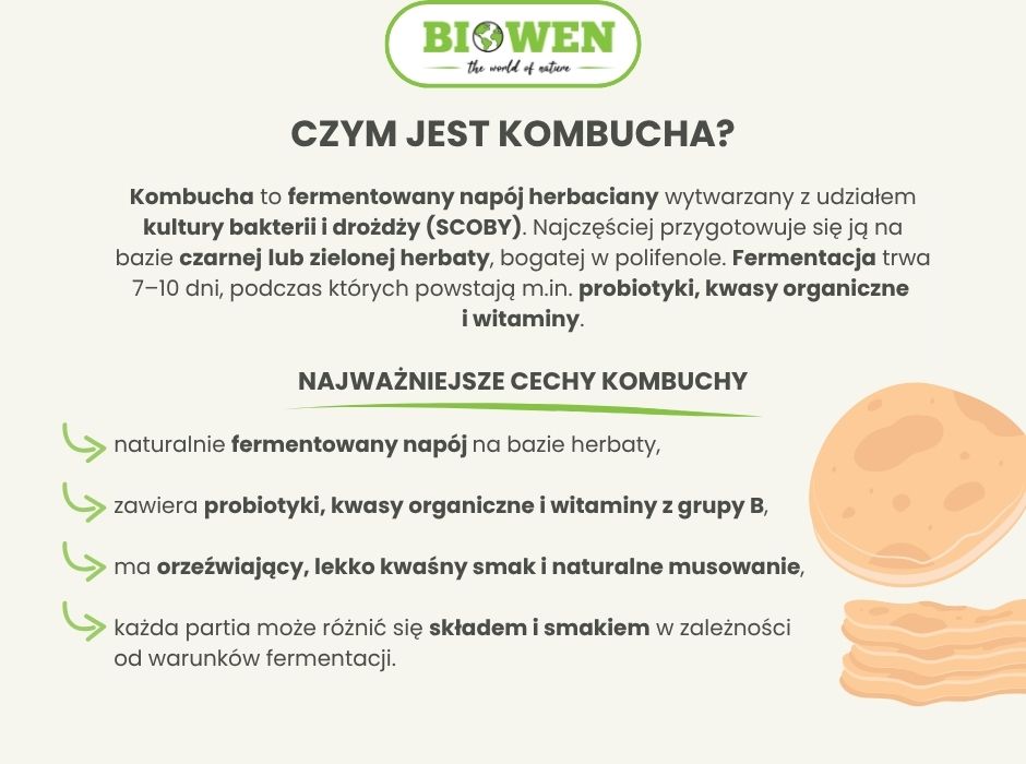 Czym jest kombucha - infografika