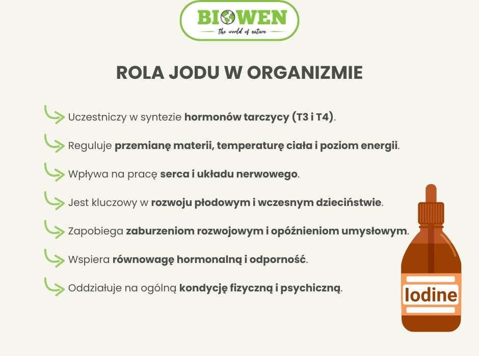 Rola jodu w organizmie - infografika