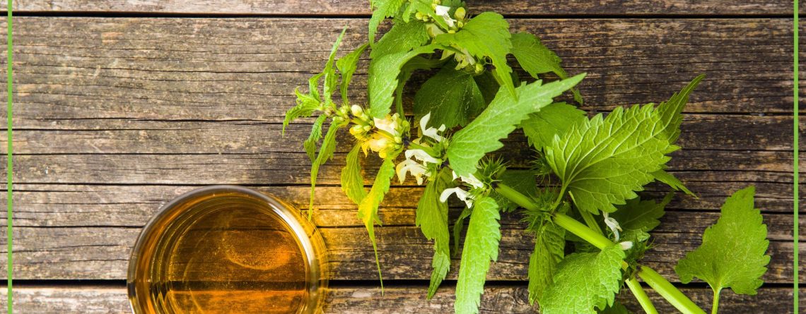 Pokrzywa – naturalny sposób na poprawę zdrowia - obrazek wyróżniający