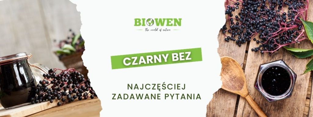 Czarny bez FAQ - obrazek poglądowy