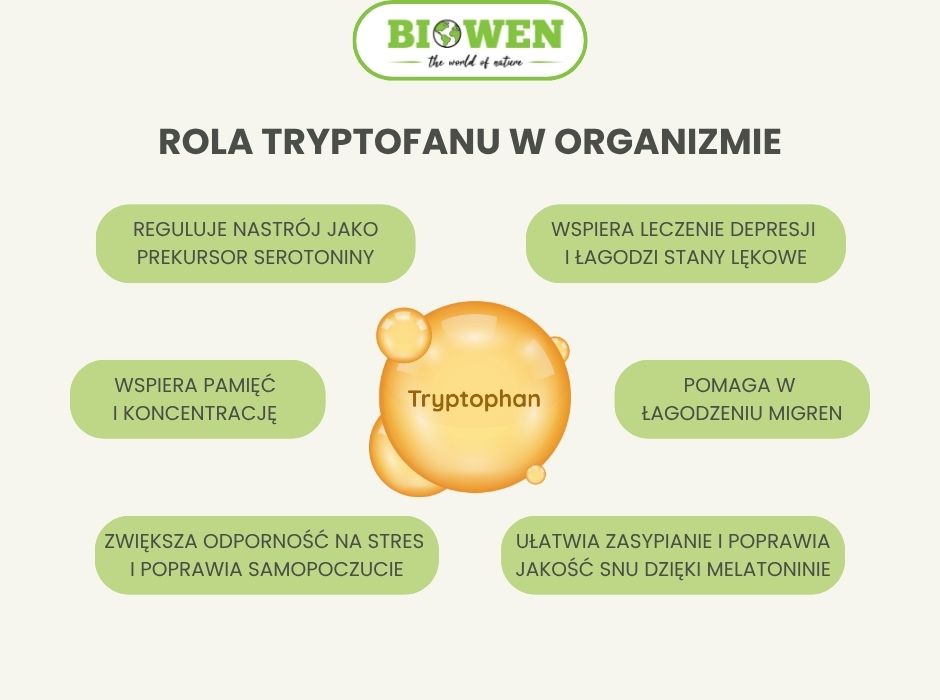 Rola tryptofanu w organizmie - infografika